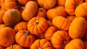 Tips for an eco-friendly Halloween