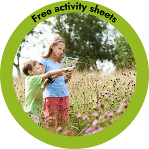 Circle image of two children holding a sheet and pointing to some wildflowers. There is a green border with title 'free activity sheets'.
