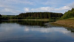 SW Lakes Weekly Trout Fisheries Round Up - W/E 22nd May